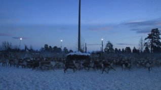 Online film Kiruna – překrásný nový svět