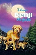 Online film Hledá se Benji