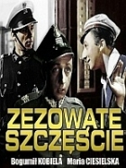 Online film Šilhavé štěstí