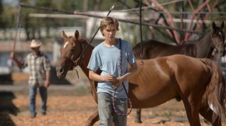 Online film Lean on Pete