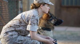 Online film Megan Leavey