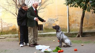 Online film Mutlu aile defteri