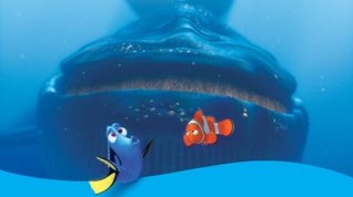 Online film Hledá se Nemo