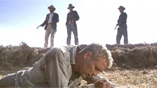 Online film Frajer Luke