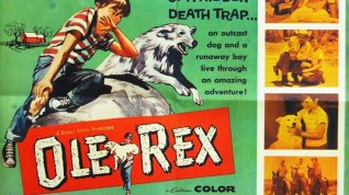 Online film Ole Rex