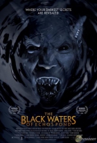 Online film The Black Waters of Echo's Pond