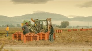 Online film Stanko