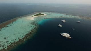 Online film JINJANG-Maledivy