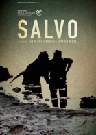 Online film Salvo