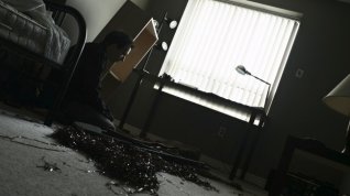 Online film The Incidental