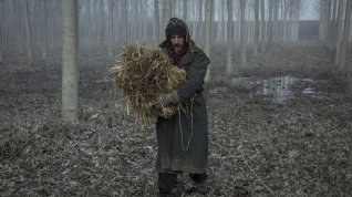 Online film Volevo nascondermi