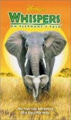 Online film Příběh malého slona