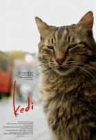 Online film Kedi