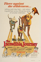 Online film The Incredible Journey