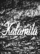 Online film Kalamita