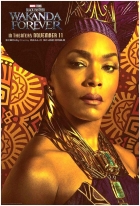 Online film Black Panther: Wakanda nechť žije