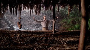 Online film Palmeras en la nieve