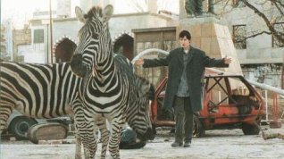 Online film Člověk v zoo