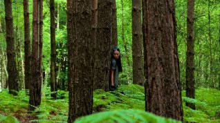 Online film The Heart of the Forest