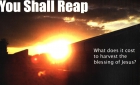 Online film So You Shall Reap