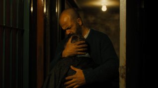 Online film Stehlík