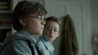 Online film Stehlík