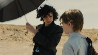Online film Stehlík