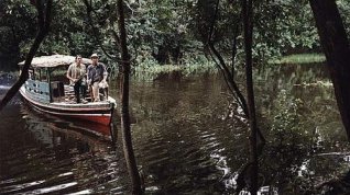 Online film Ženy od hluboké řeky