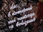 Online film Les, v kotoryj ty nikogda ně vojďoš