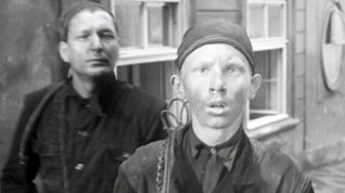 Online film Můj Vladimír Pucholt