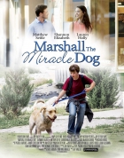 Online film Marshall the Miracle Dog