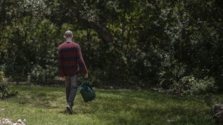 Online film Temná je noc