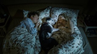 Online film Der Hund begraben