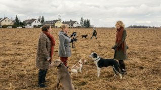 Online film Der Hund begraben