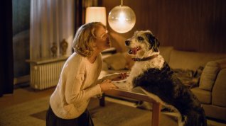 Online film Der Hund begraben