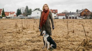 Online film Der Hund begraben