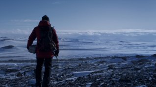Online film Arctic: Ledové peklo
