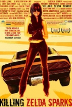 Online film Killing Zelda Sparks