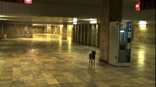 Online film Hlavní nádraží – Sofie