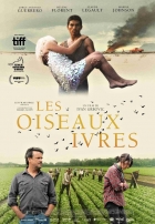 Online film Les oiseaux ivres