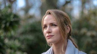 Online film Love Blossoms