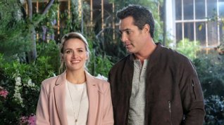Online film Love Blossoms