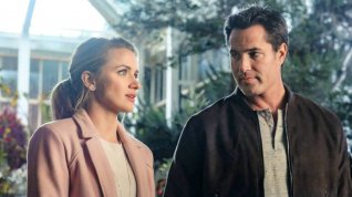 Online film Love Blossoms