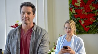 Online film Love Blossoms