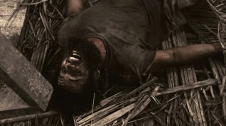 Online film Panna zázračnice