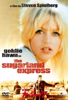 Online film Sugarlandský expres