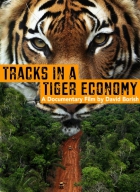 Online film Stopy v tygří ekonomice