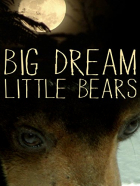 Online film Velký sen o malých medvědech