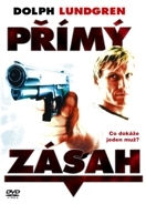 Online film Přímý zásah