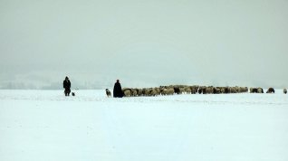 Online film Hiver nomade